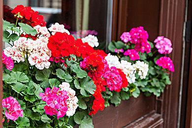 《使命召唤：战区》新反作弊系统现已全球部署